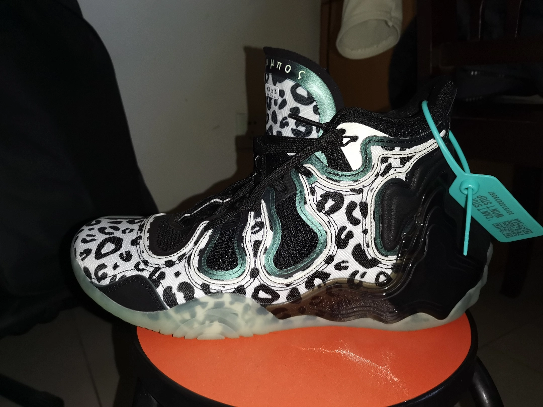 安踏星岳(雪豹配色)