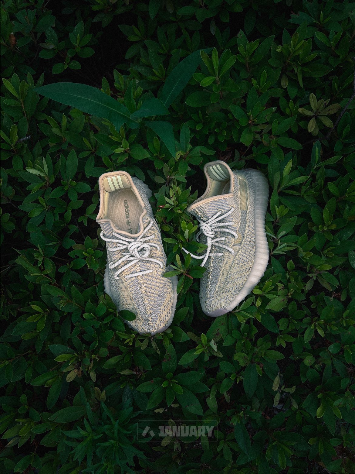 350 脏黄 天使| 夏日限定91