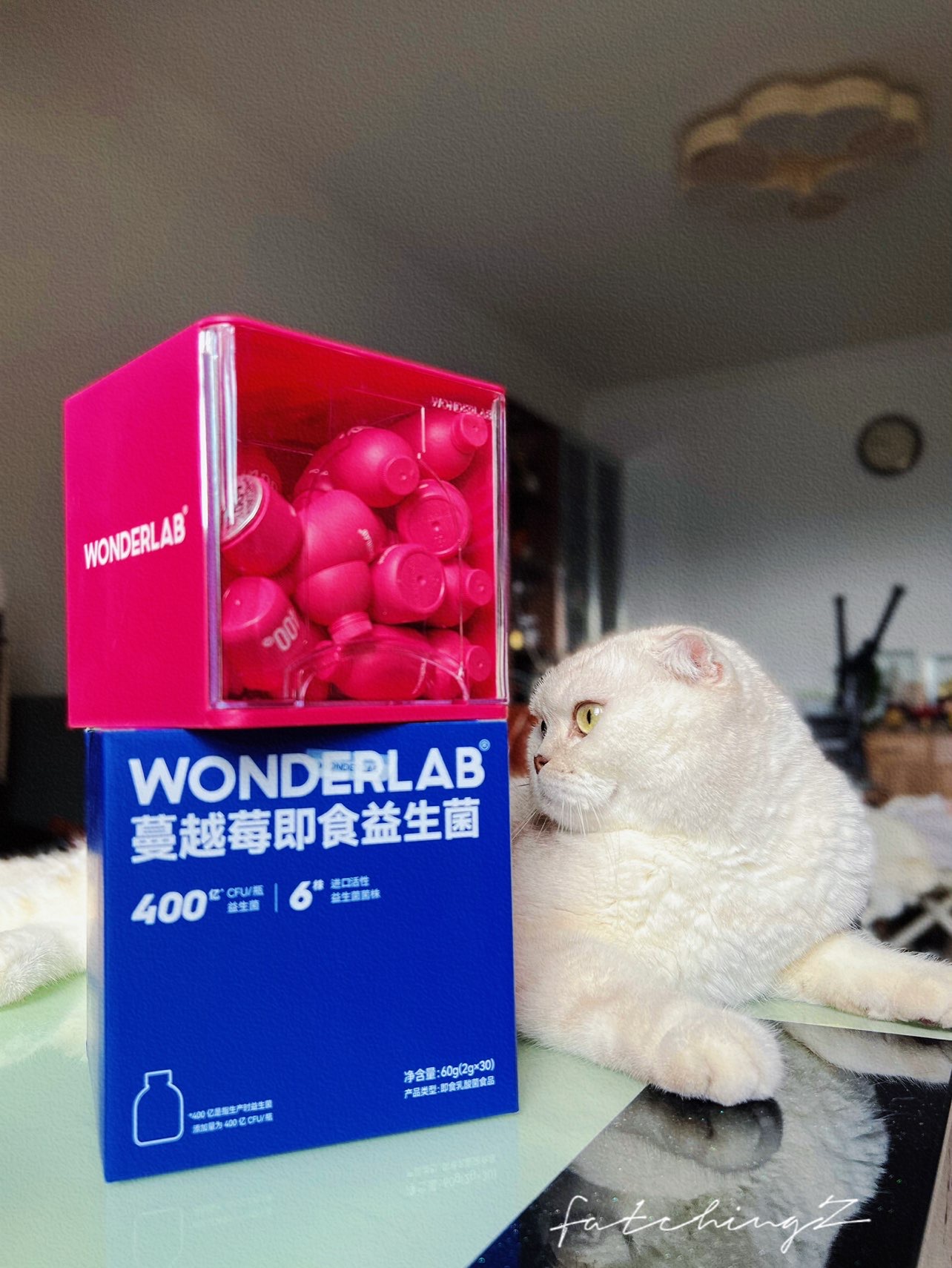 91女神必备| wonderlab小粉瓶益生菌