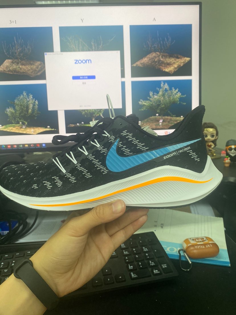 除了飞马和winflo系列,还有这一支低调而又能打的vomero系列