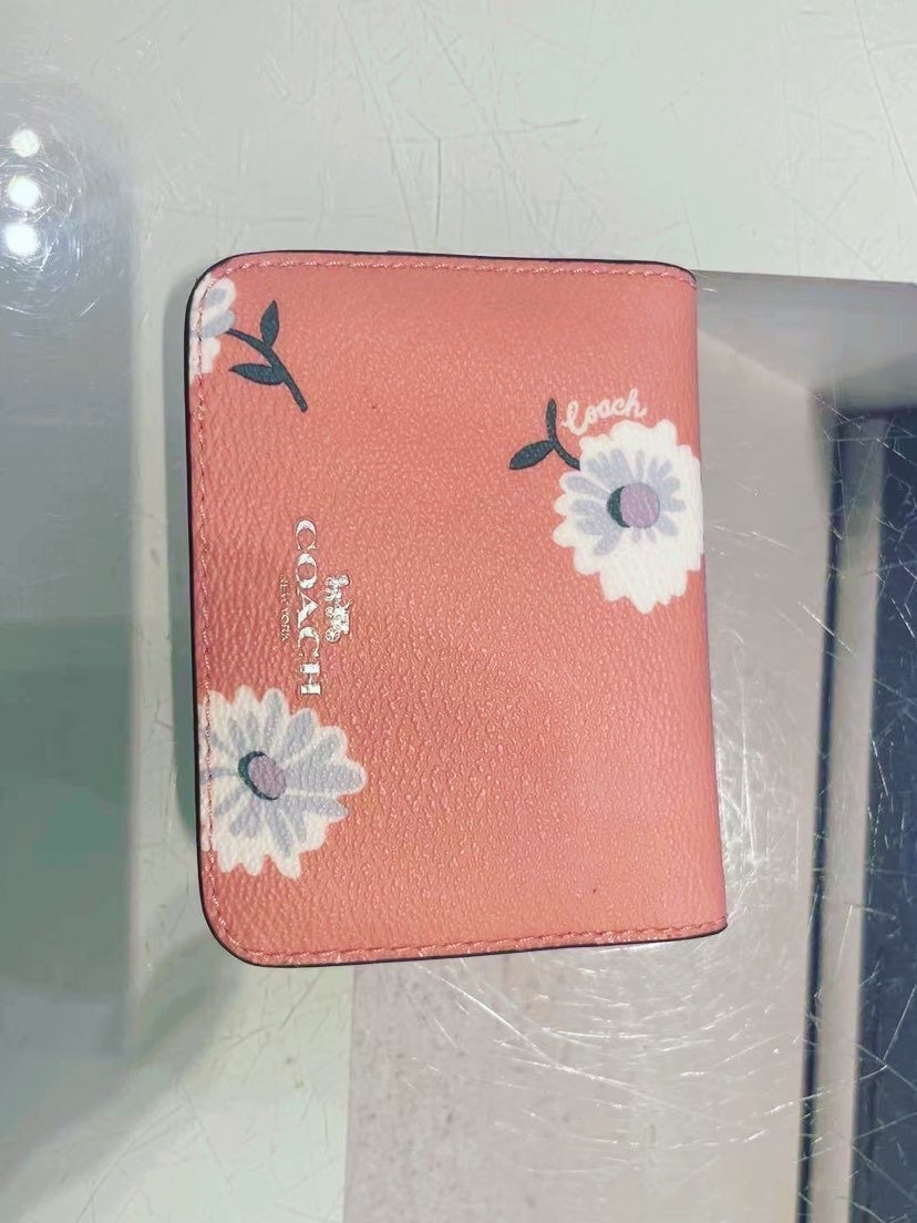 coach4月新品小雏菊图片