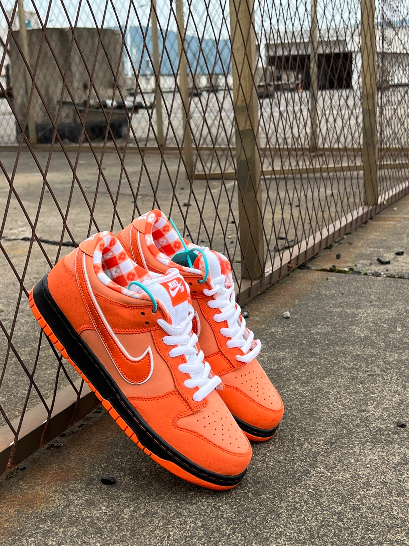 custom review-Nike SB Dunk Low Concepts Orange Lobster Men's