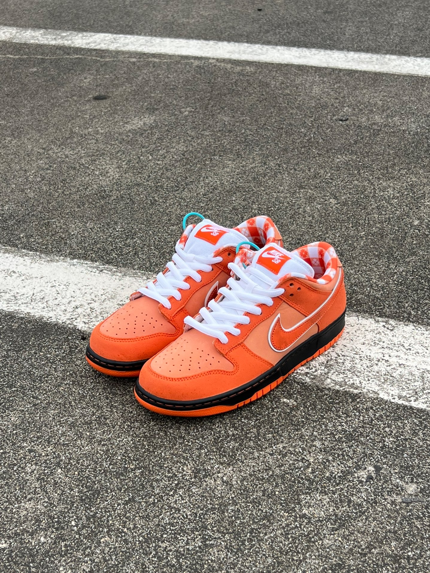 custom review-Nike SB Dunk Low Concepts Orange Lobster Men's