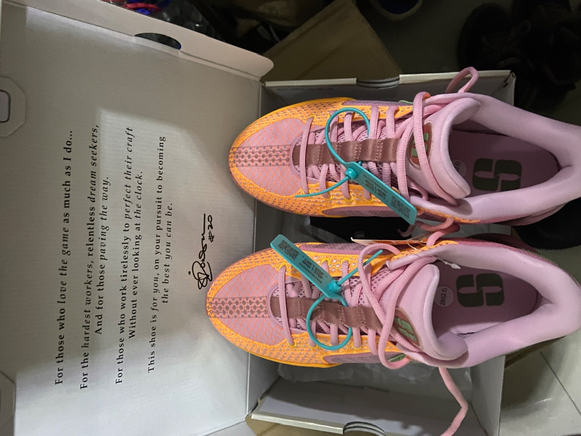 custom review-Nike Sabrina 1 EP 'West Coast Roots' Women's