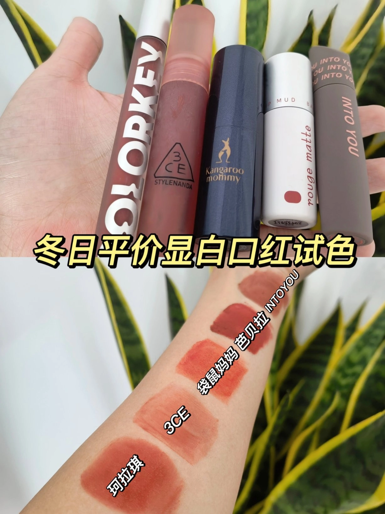 很适合素颜,就是一开始上嘴有点糊 73袋鼠妈妈#04岚山红叶色,夹心