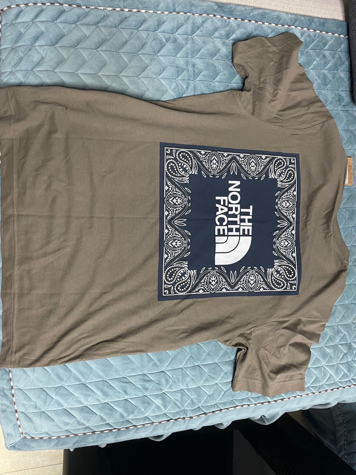 一件小众颜色的北面腰果花t恤