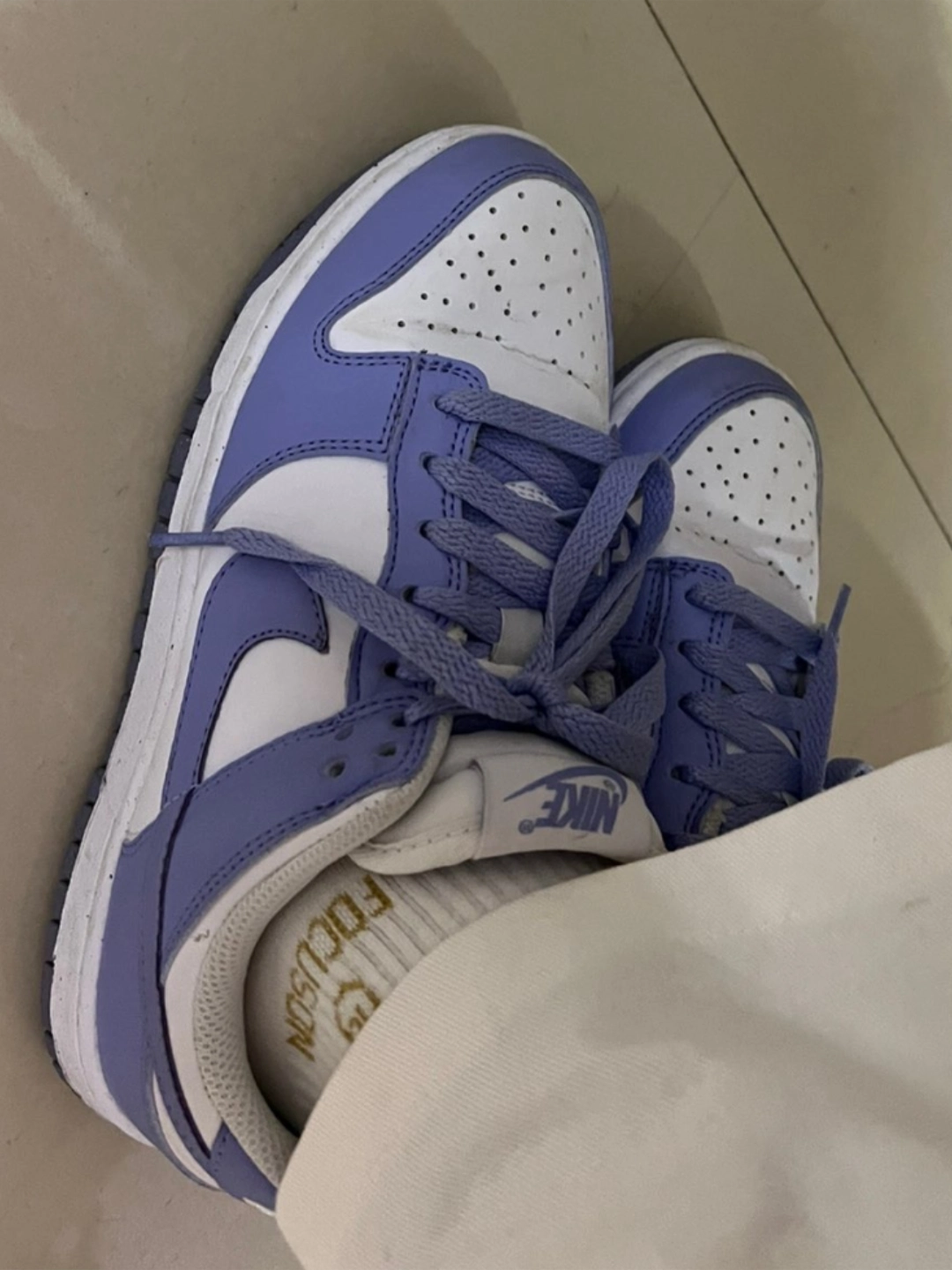 custom review-Nike Dunk Low Next Nature Lilac Women's