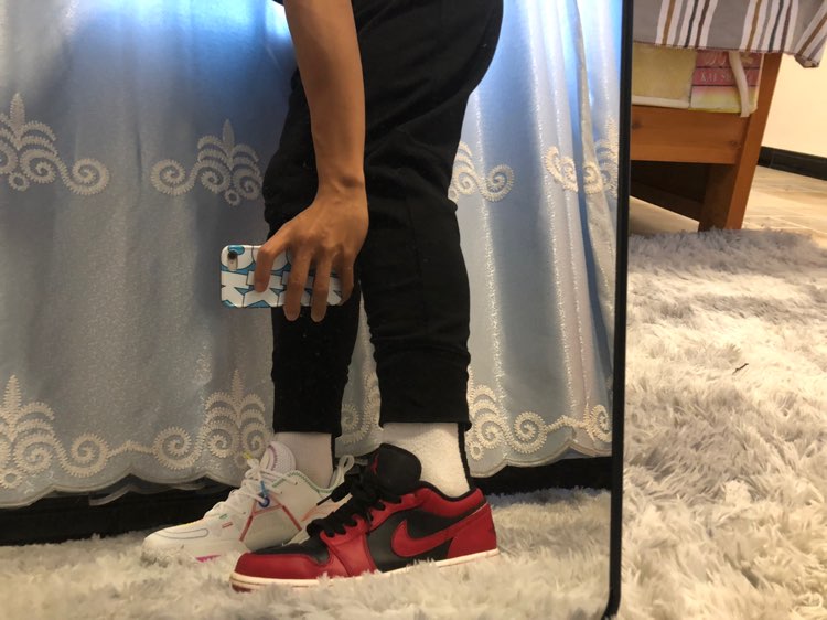 custom review-JORDAN 1 Low Reverse Bred