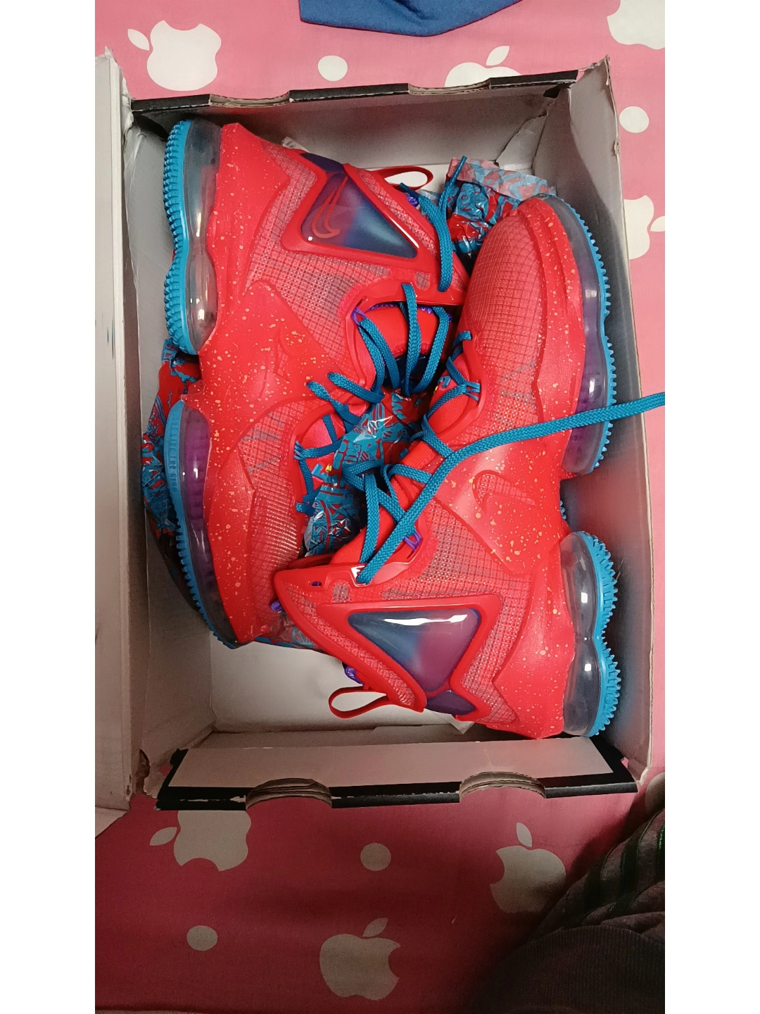 詹姆斯19代,支撑锁定的天花板