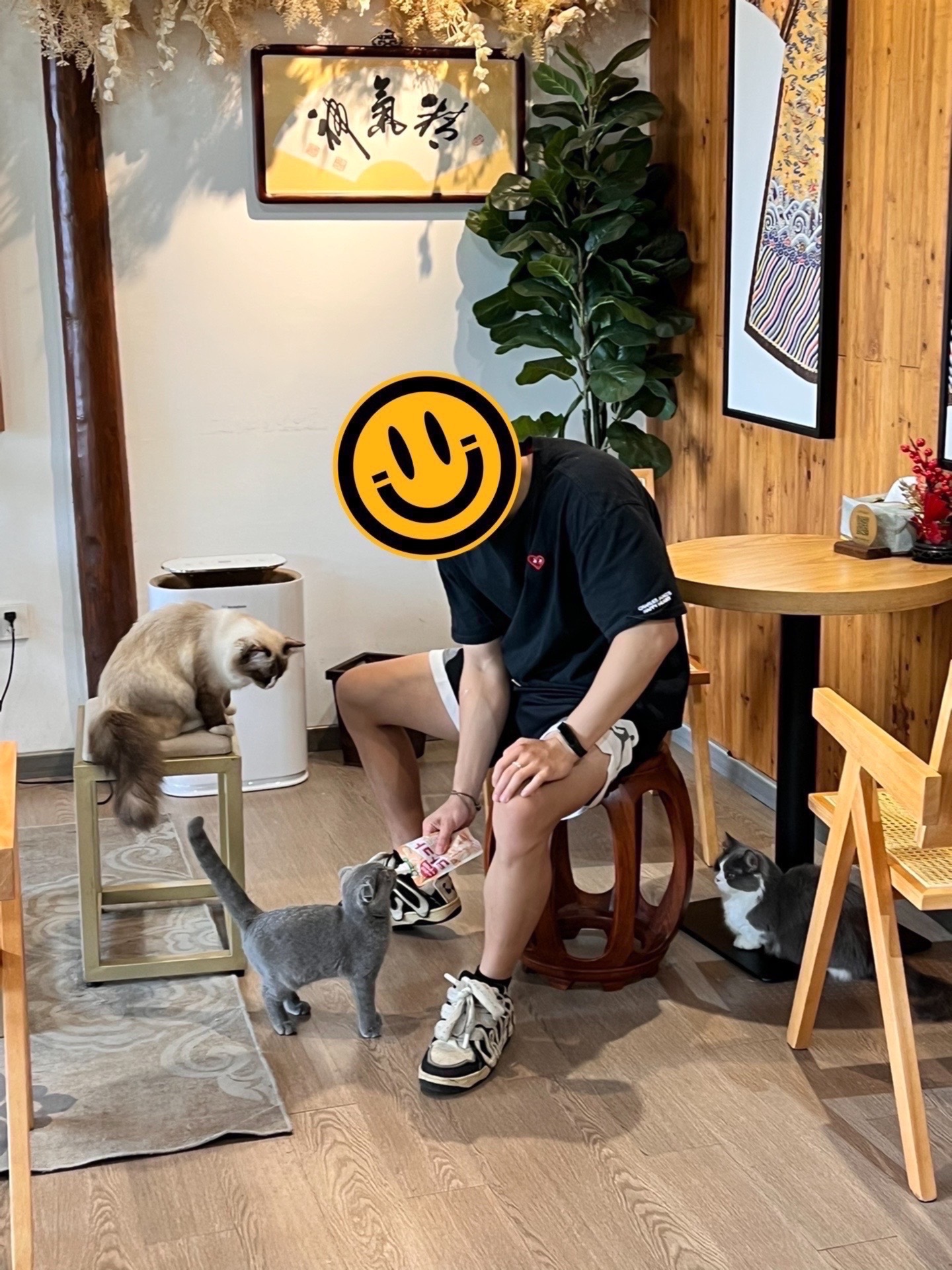 配色面包鞋??
尽显高级帅气✨✨
rapper唱情歌疯狂心动