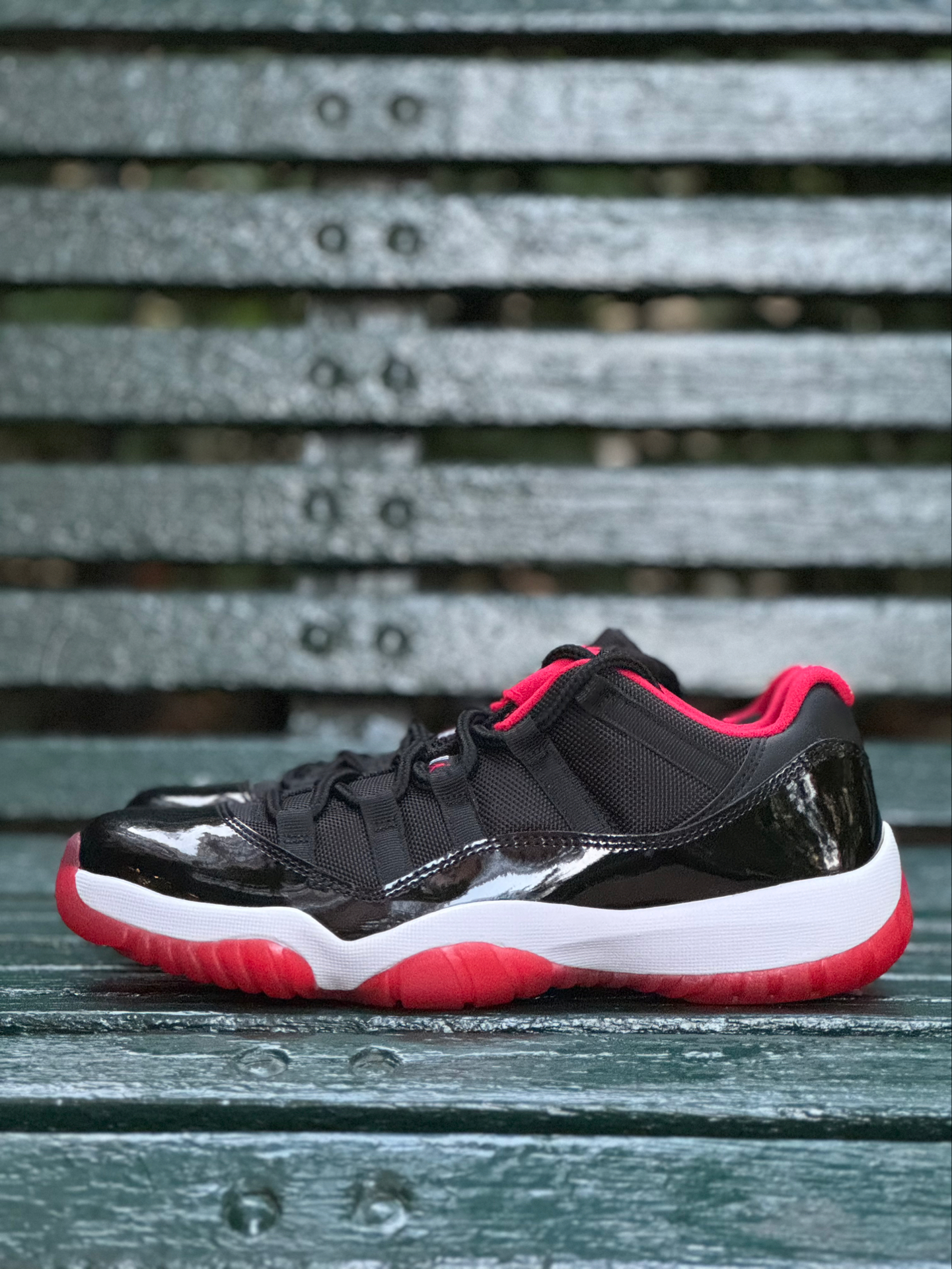 乔丹亲穿?aj11黑红低帮