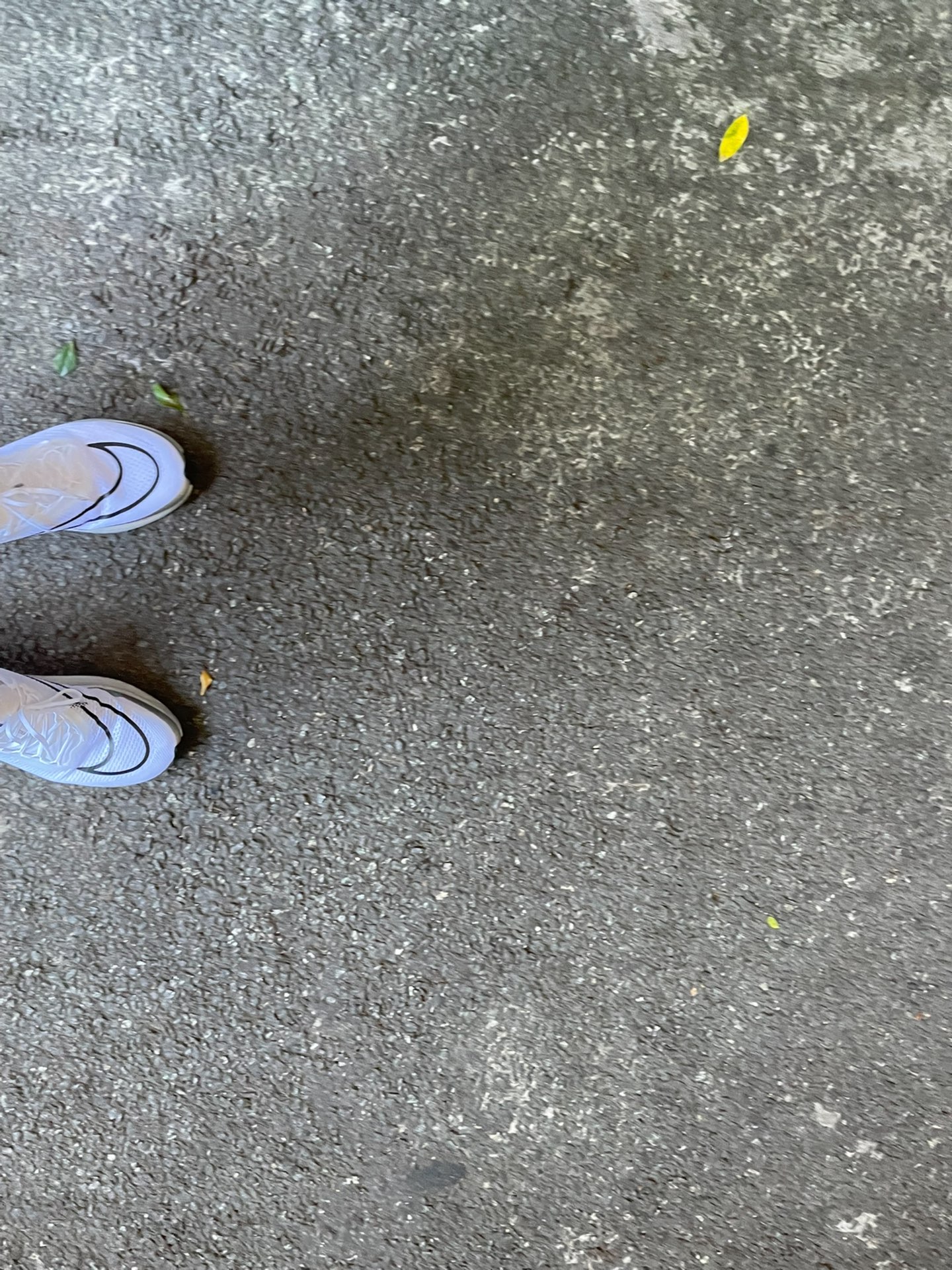 custom review-Nike ZoomX Streakfly Premium White Metallic Silver