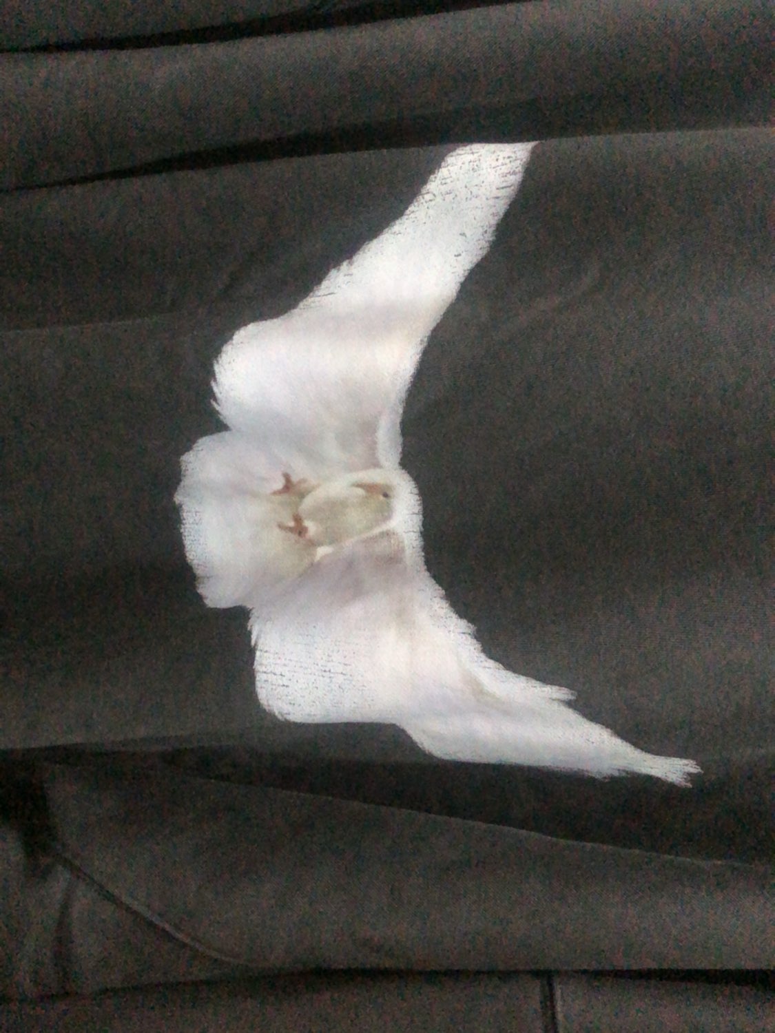 custom review-YEEZY X GAP X Balenciaga Dove Hoodie Dark Grey