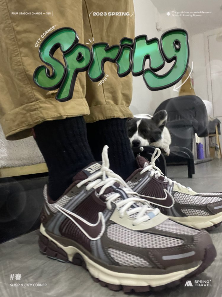 custom review-Nike Air Zoom Vomero 5 Earth Fossil Brown Women's