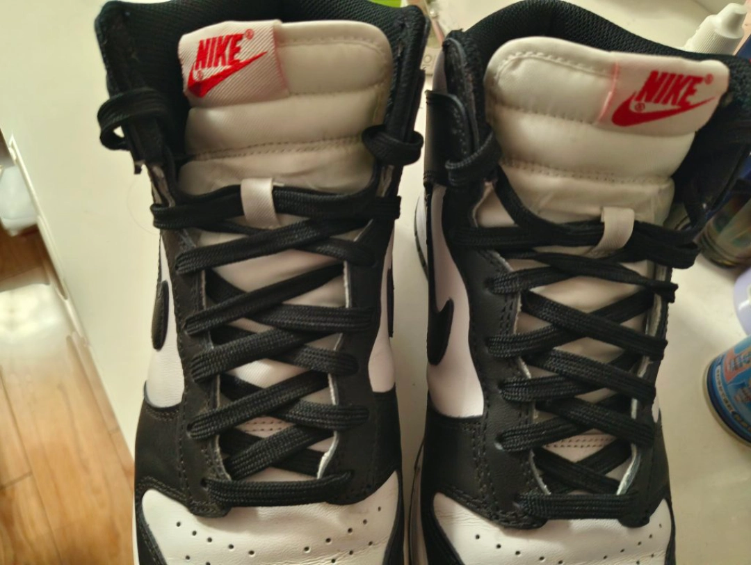 custom review-Nike Dunk High 'Panda' Women's