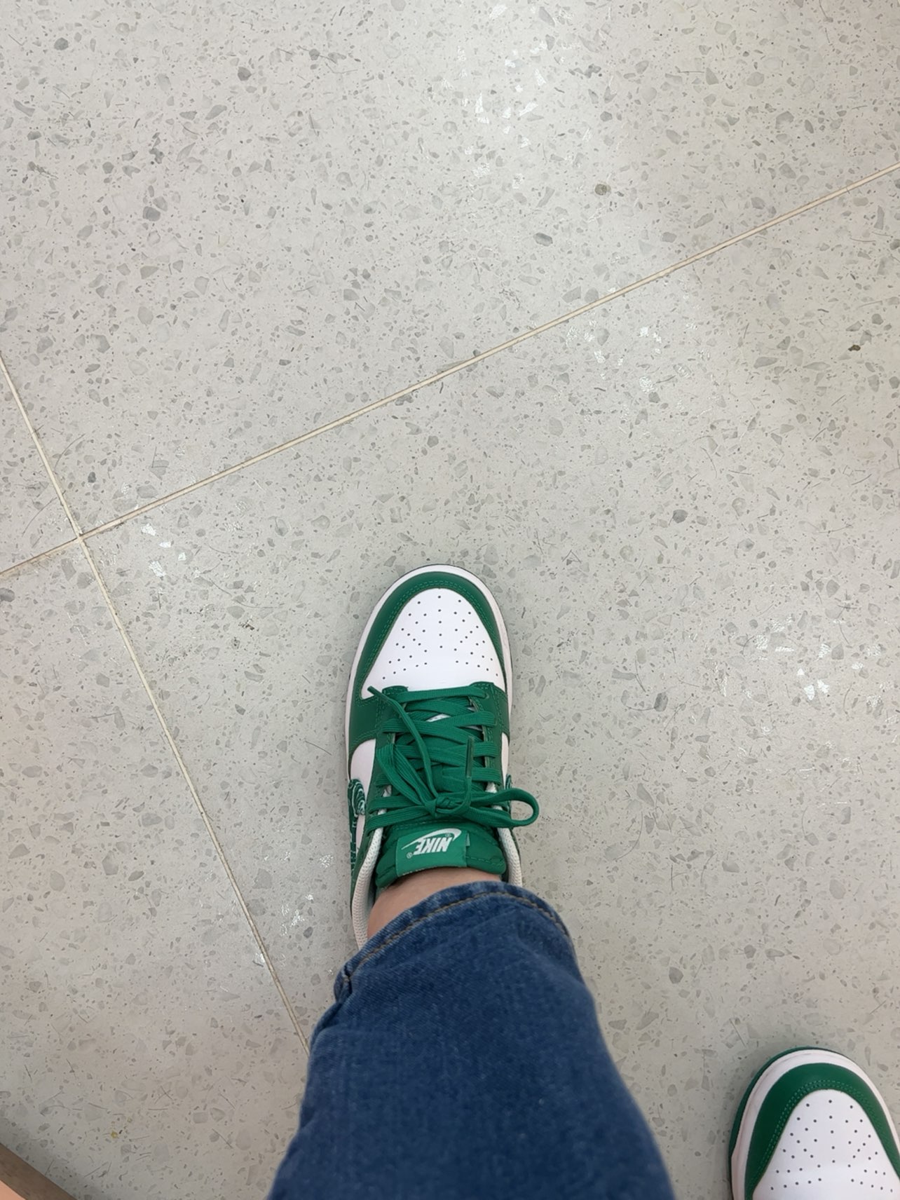 custom review-Nike Dunk Low 'Green Paisley' Women's