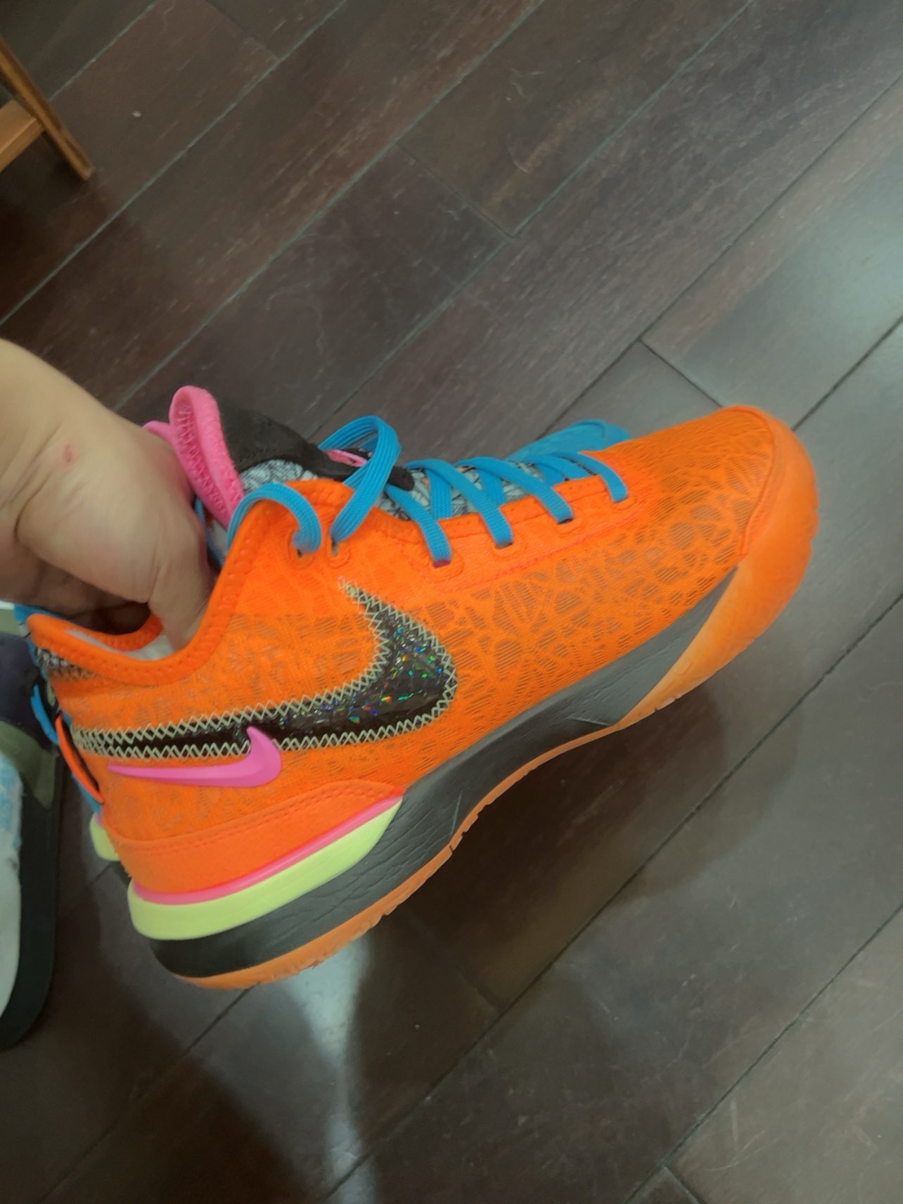 custom review-Nike Zoom Lebron Nxxt Gen 'I Promise'