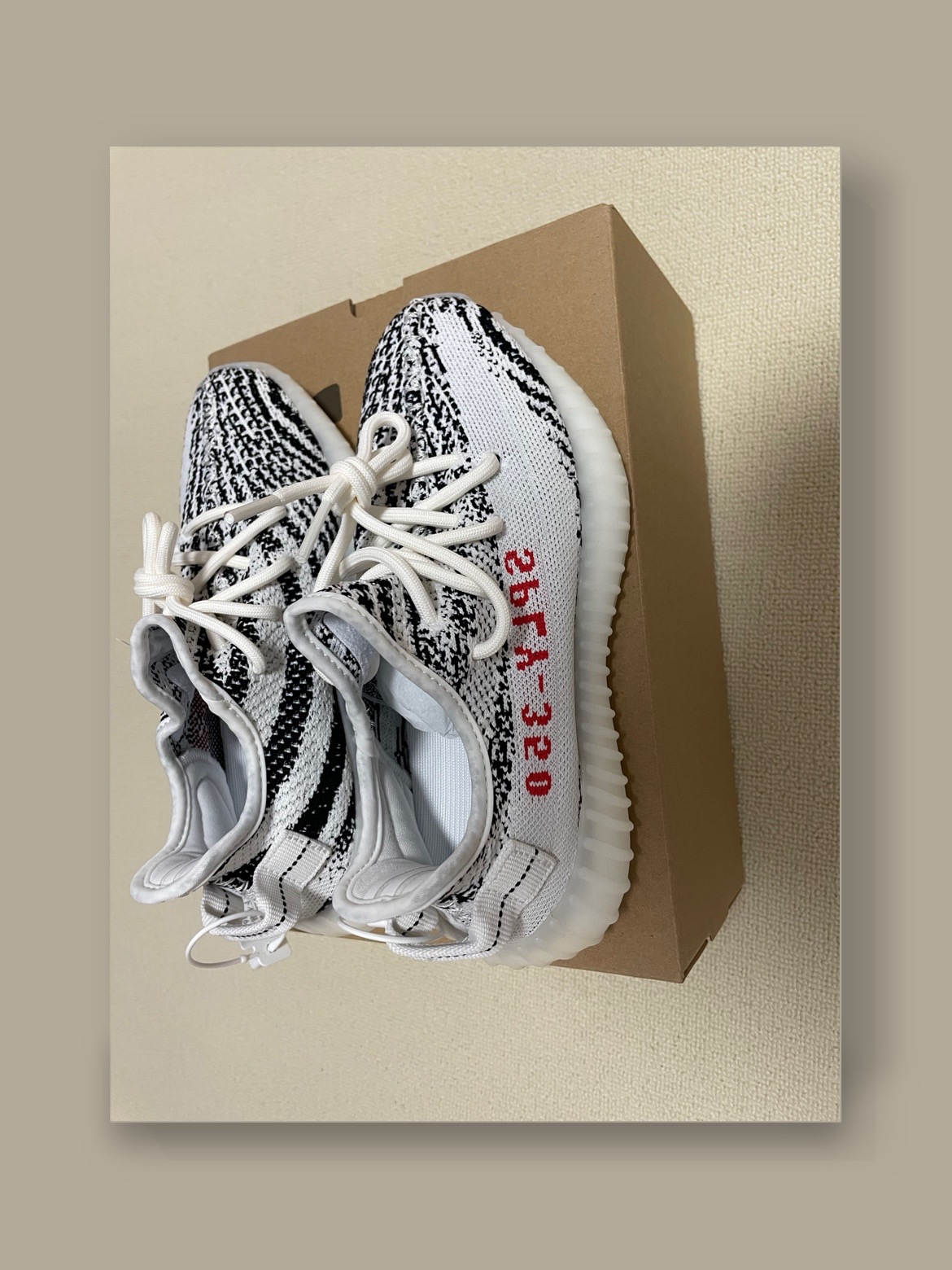 经典配色,上脚好看百搭,非常适合夏天穿#椰子350白斑马  adidas