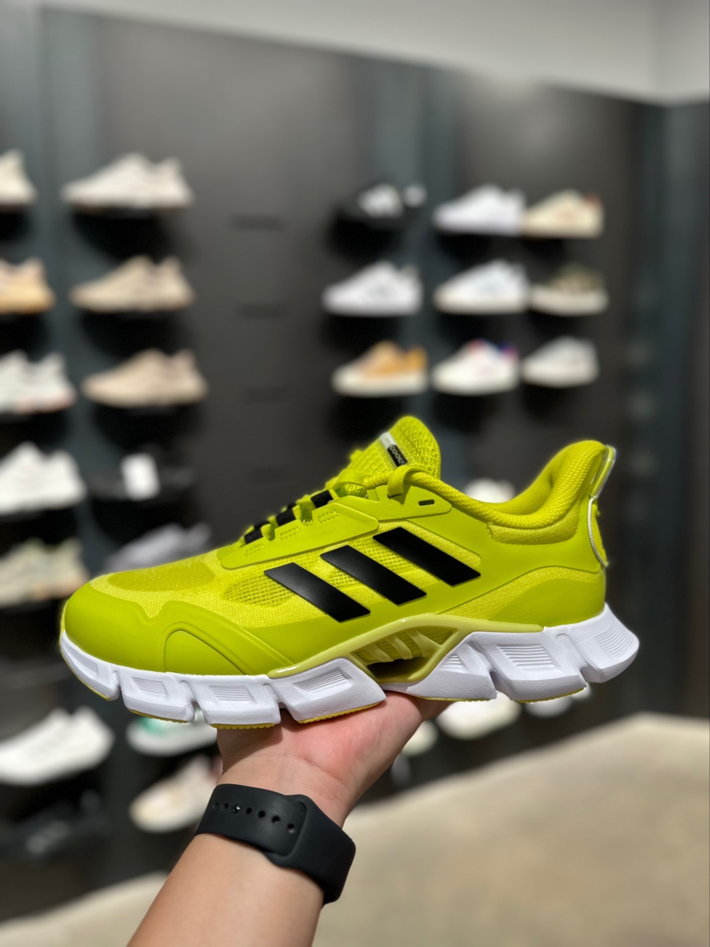 阿迪新款 adidas的清风climacool系列一直都是很经典的鞋款,当年也是