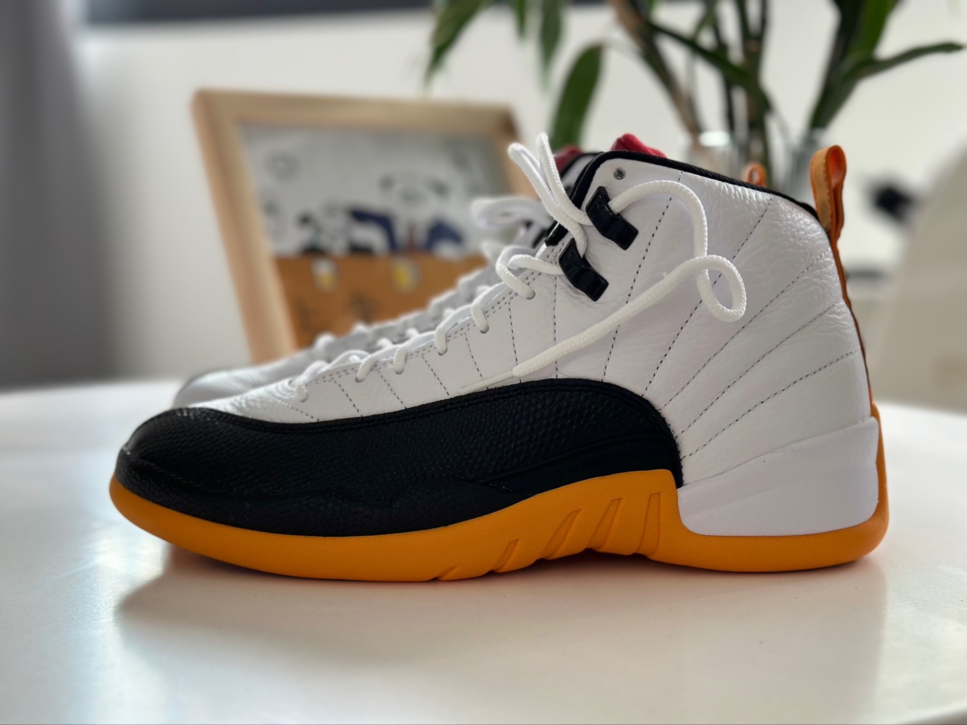 aj12gs配置图片