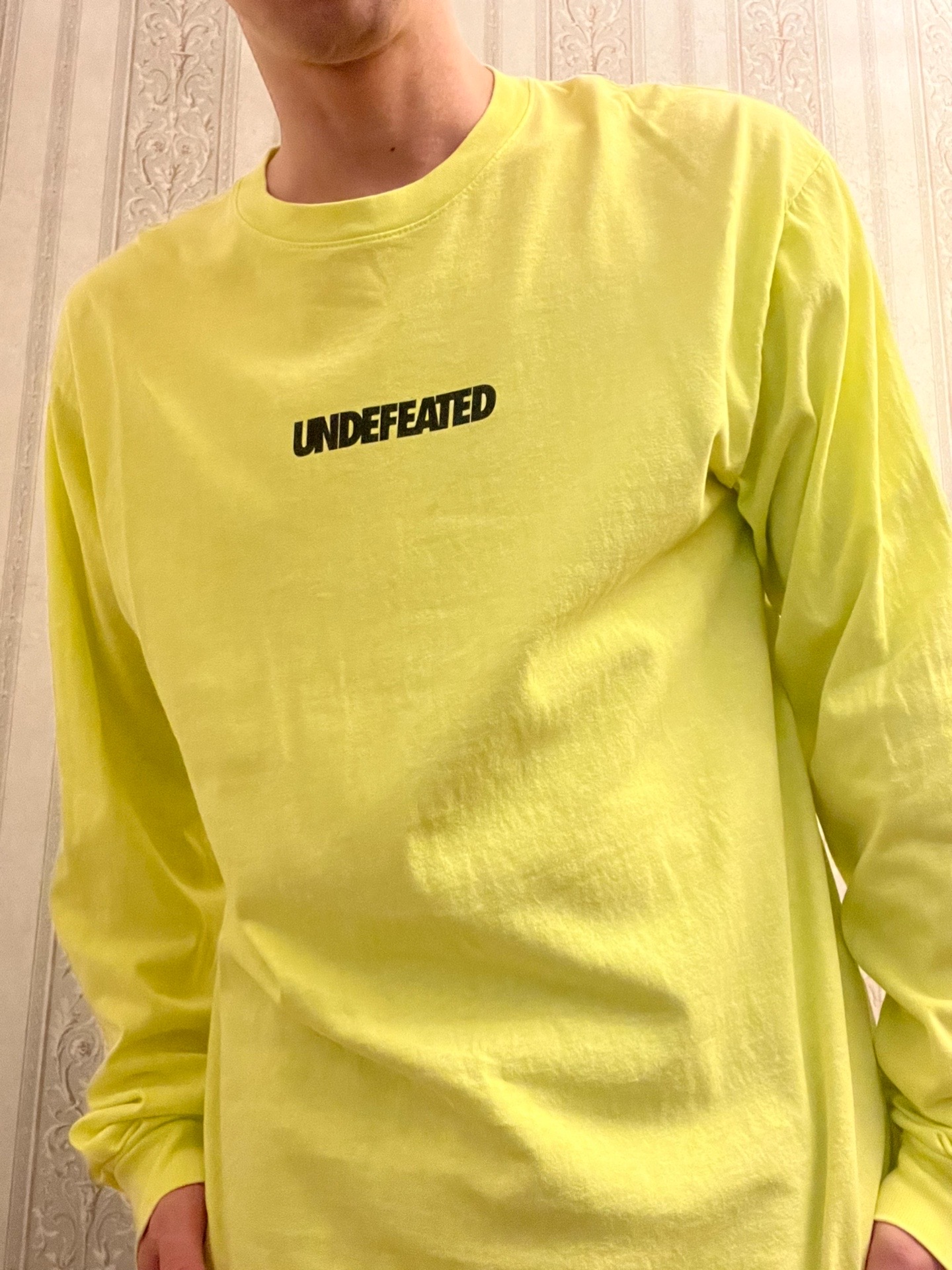 undefeatedlogo图片