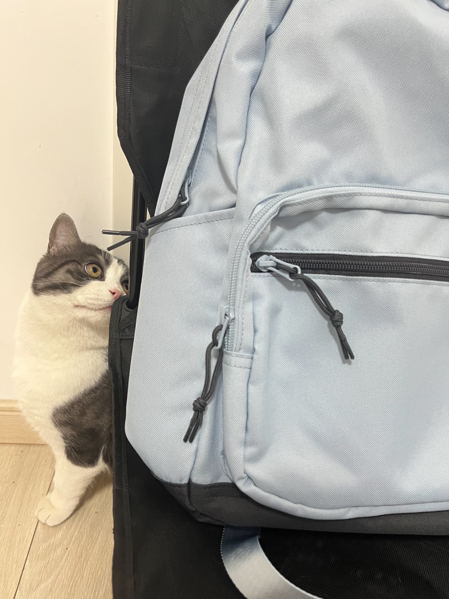 匡威雾霾蓝双肩包