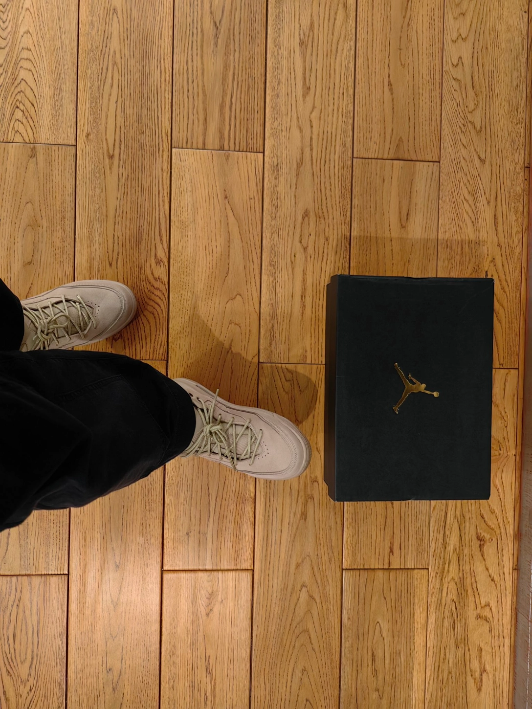 custom review-Jordan Courtside 23 Desert Gum