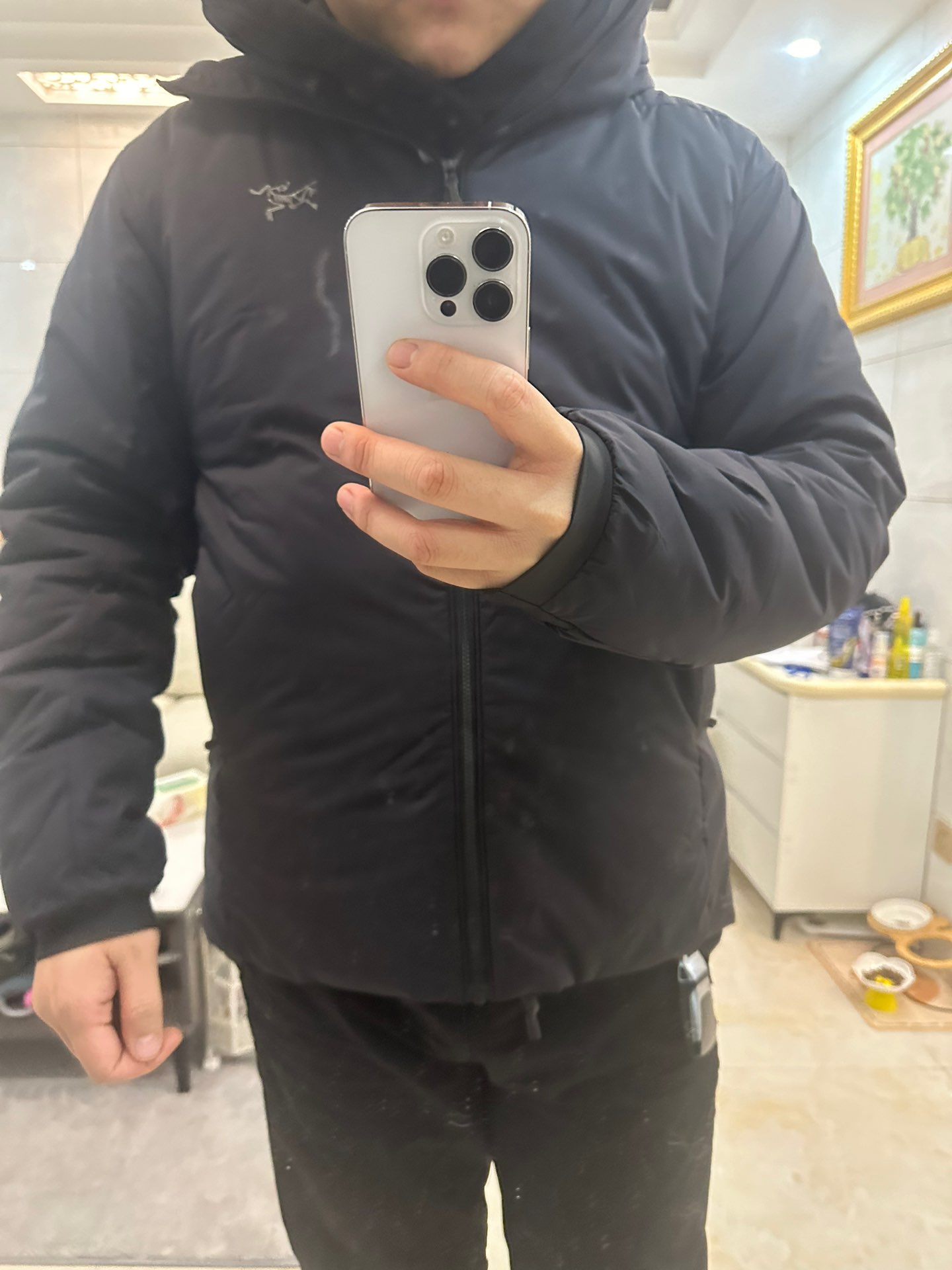 custom review-Arcteryx ATOM Пуховик Мужской