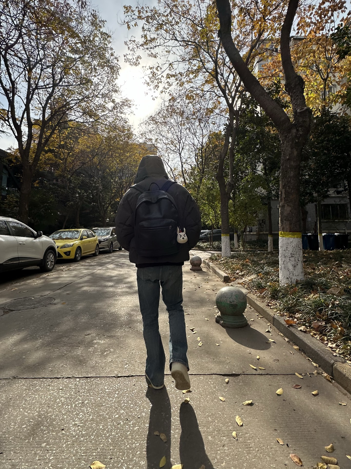 背影杀挑战 #背影杀手 #晒晒氛围感背影照