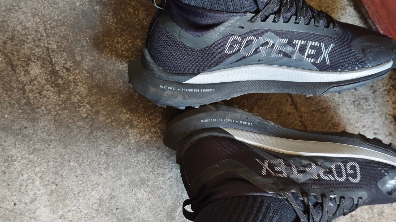 custom review-Nike React Pegasus Trail 4 Gore Tex 'Black Reflect Silver'