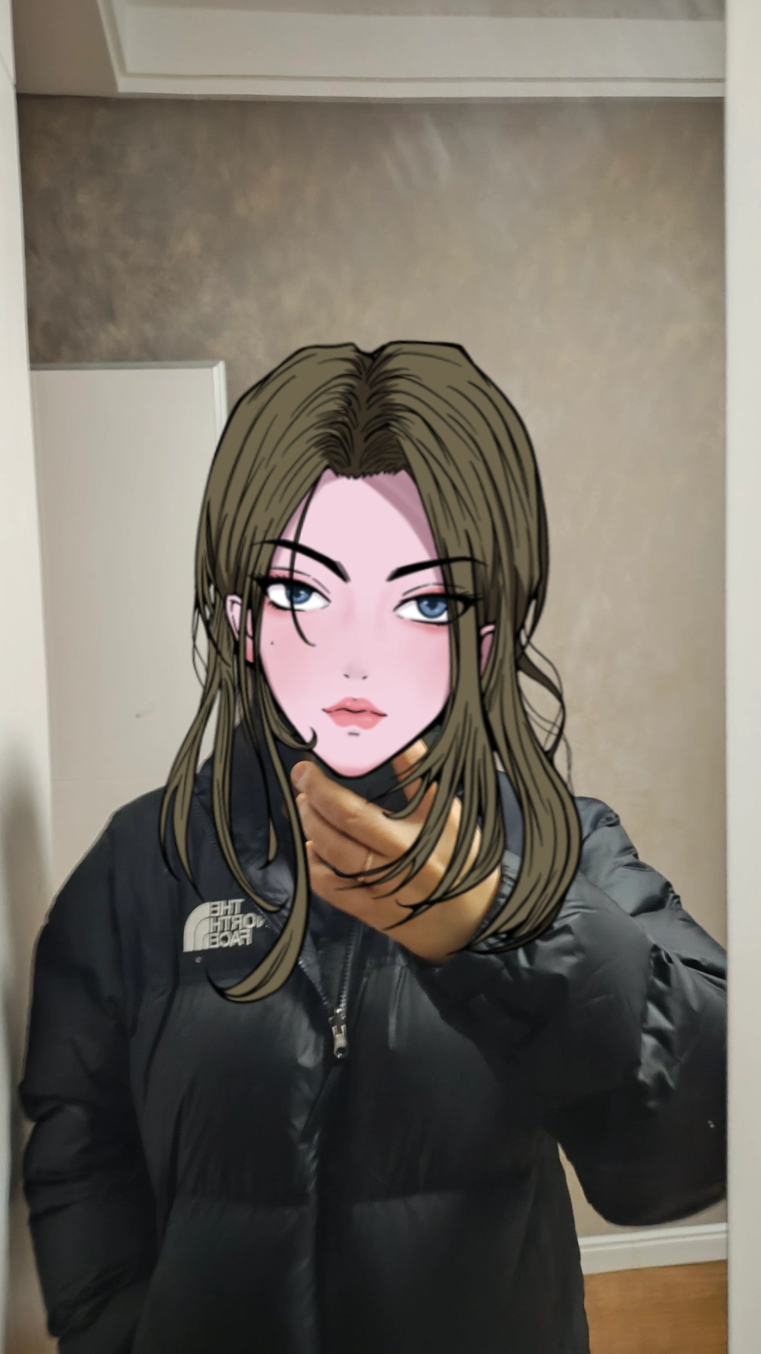 custom review-THE NORTH FACE 1996 Collection FW23 Пуховик Зимний Унисекс Черный