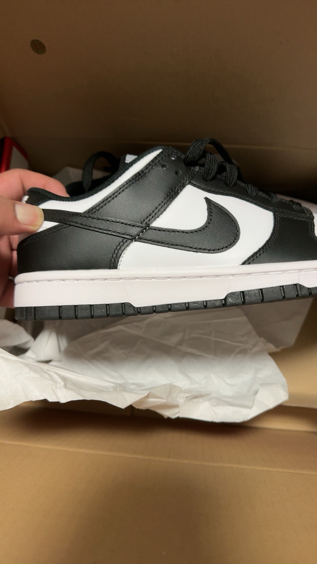 custom review-Nike Dunk Low Retro White Black Panda Women's