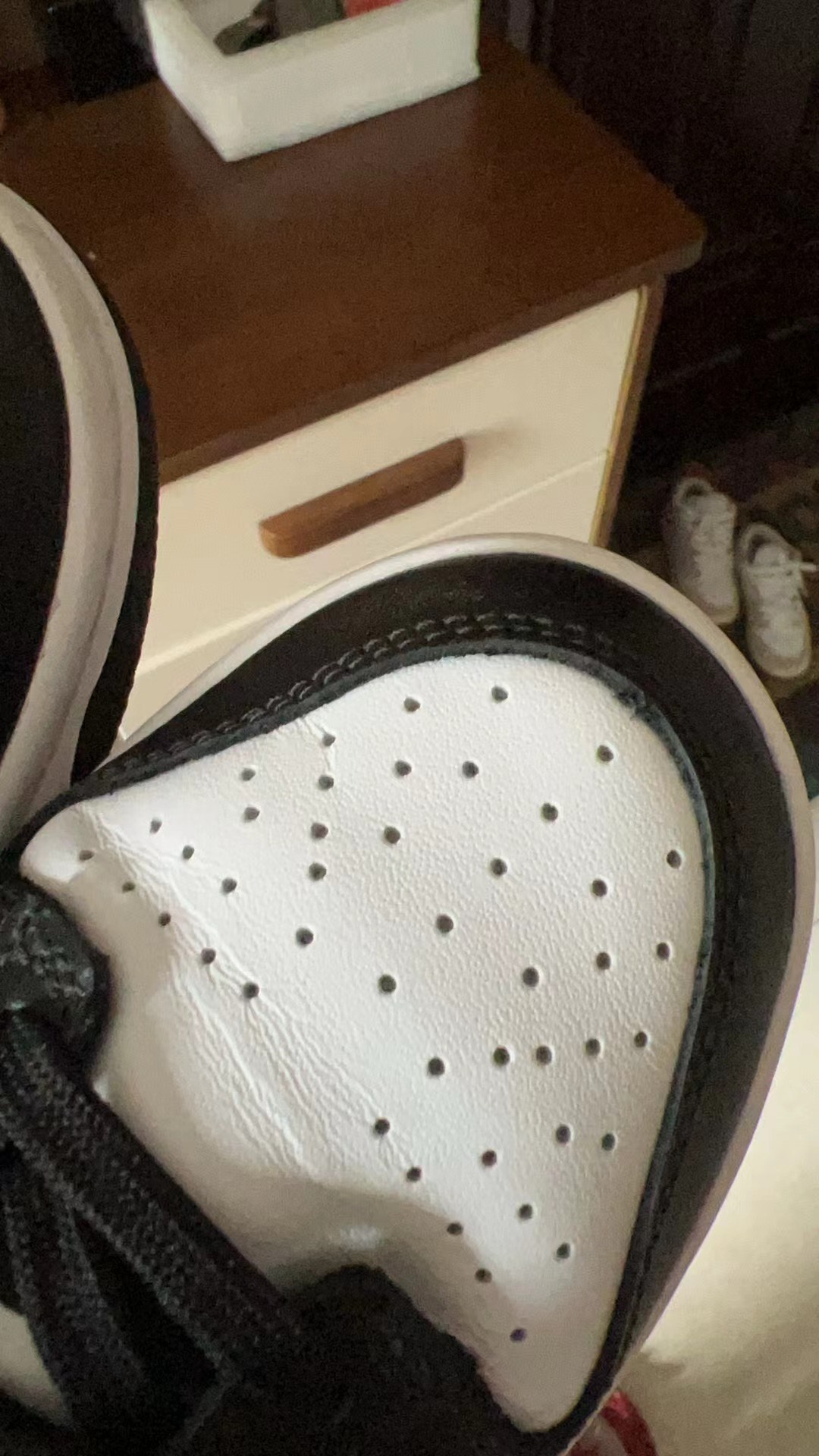 custom review-Nike Dunk Low Retro White Black Panda Women's