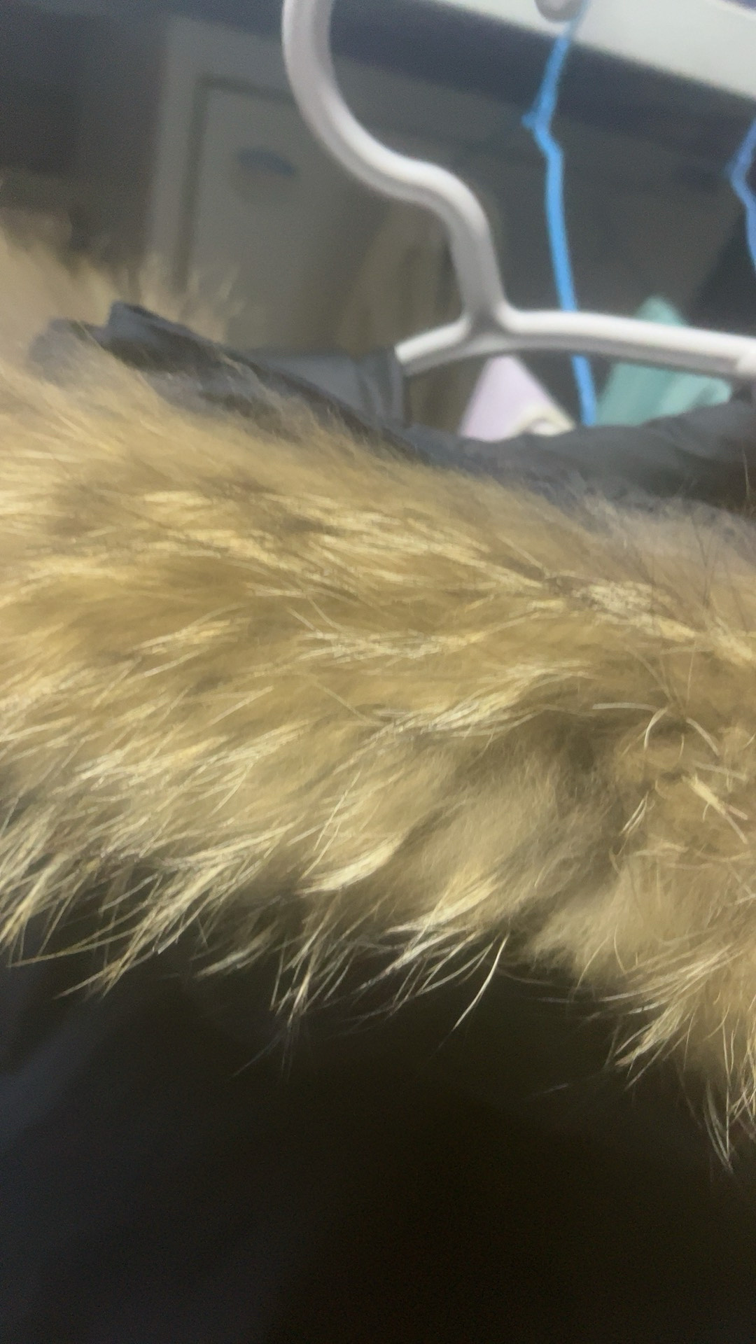 custom review-Teenie Weenie Men Маленькие отопительные печи Пуховик Унисекс