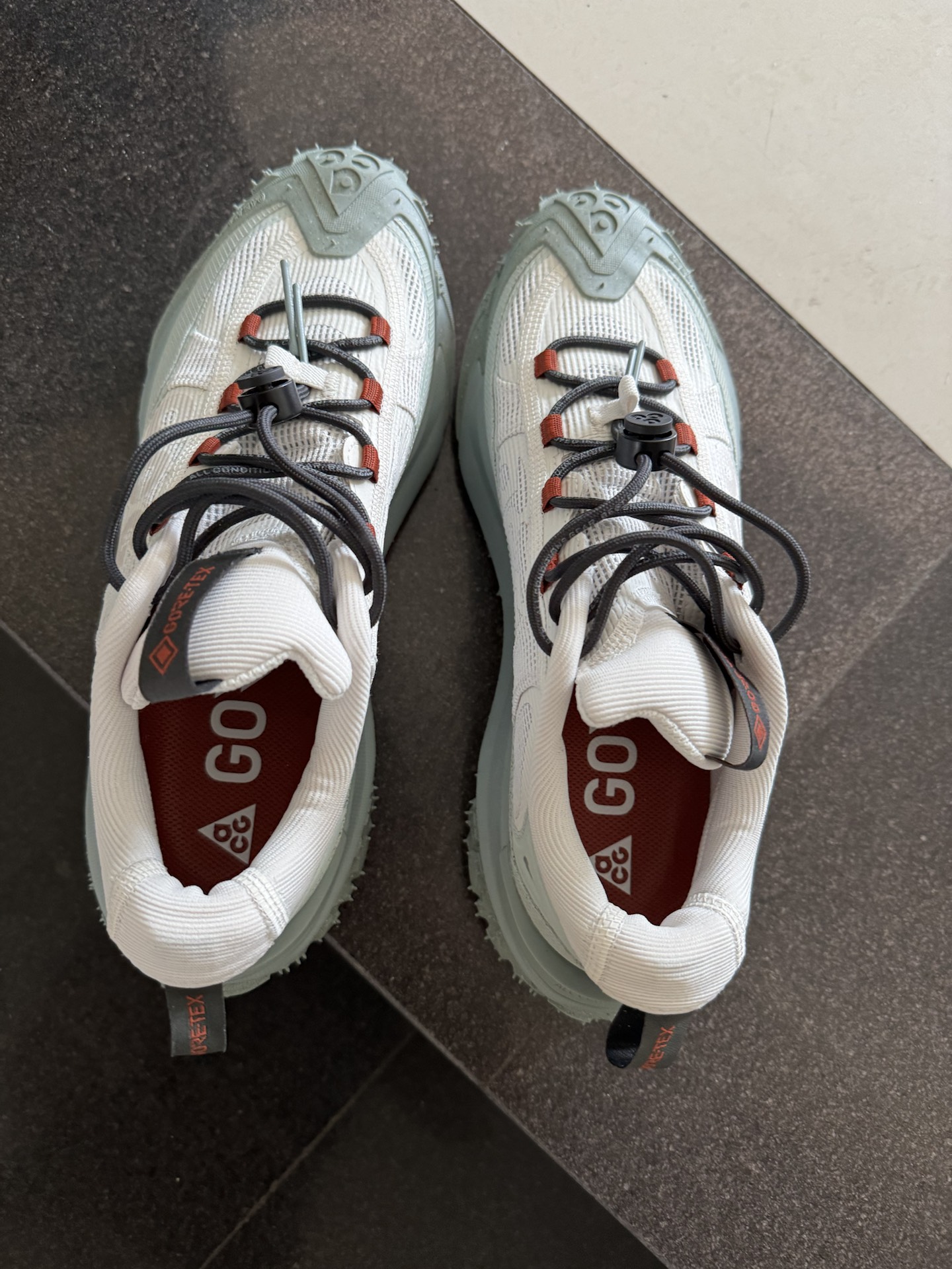 custom review-Nike ACG Mountain Fly Low Топ Уличная обувь Унисекс Белый Синий