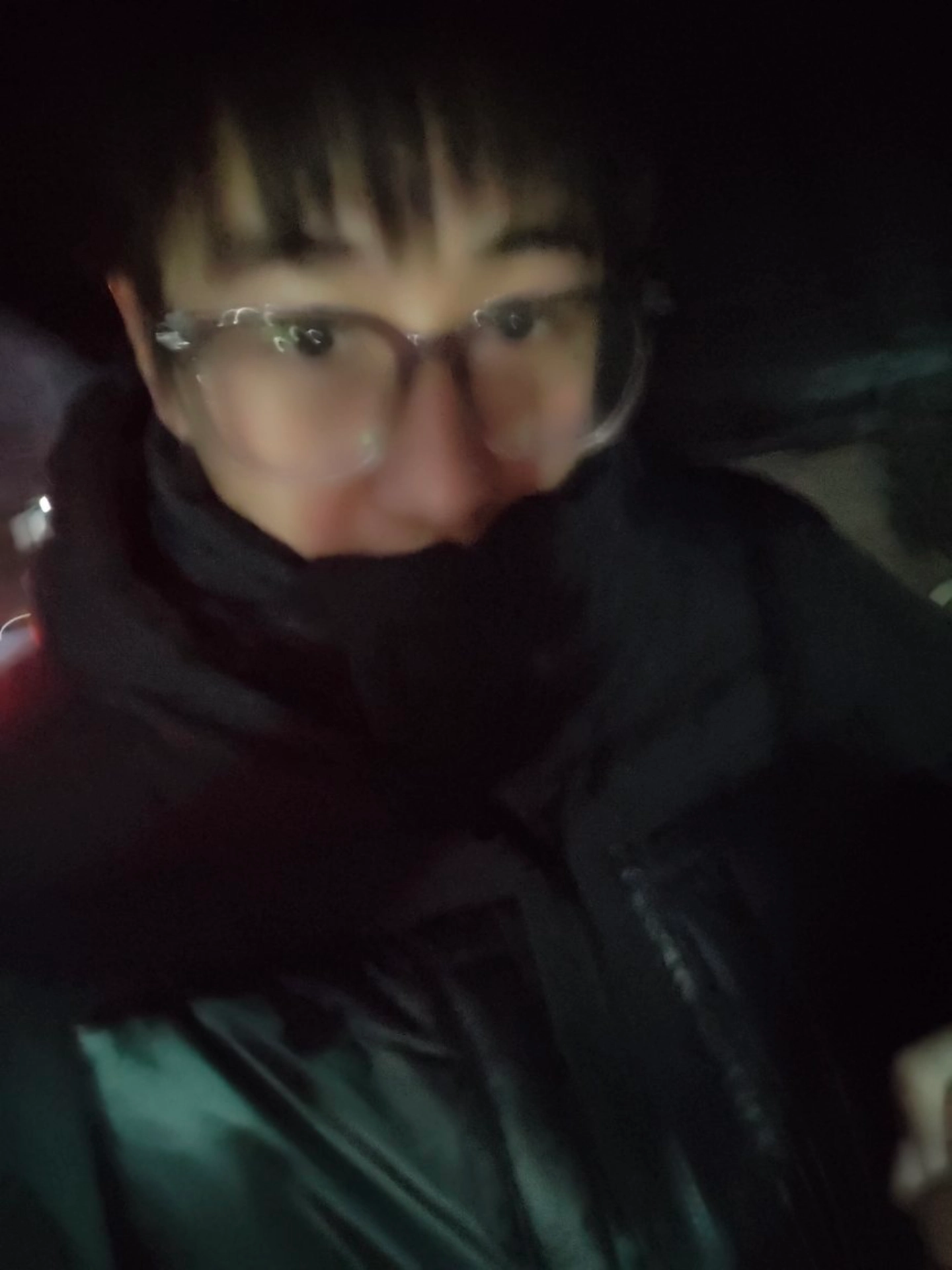 custom review-Adidas Originals DOWN REGEN PUFF Пуховик Зимний Мужской Черный