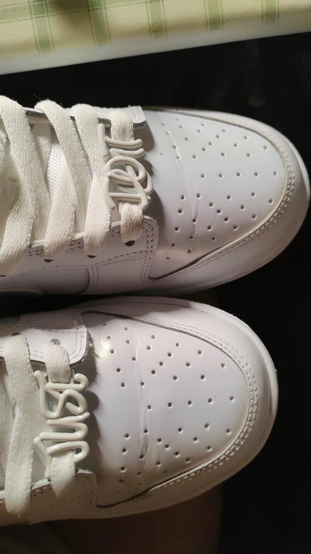 custom review-NIKE Dunk SE Противоскользящий Амортизация Устойчивый к истиранию Дышащий Низкий Топ Скейтбординг Кроссовки Женские Белые