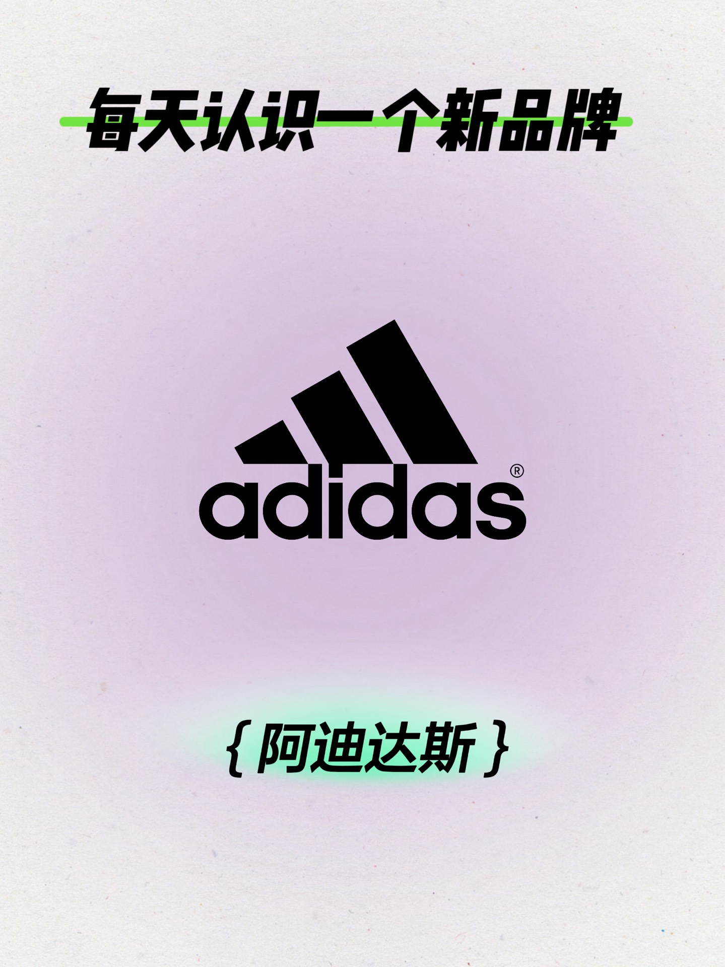 每天认识一个新品牌