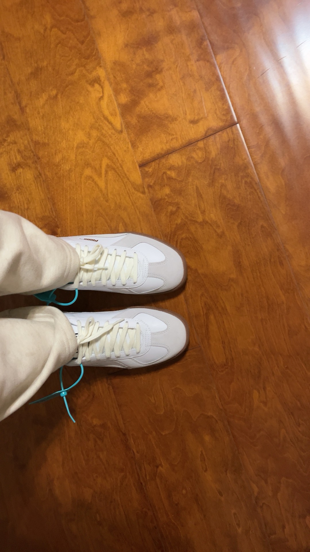 custom review-PUMA Army Trainer Low Топ Скейтборд Кроссовки Унисекс Белый Серый