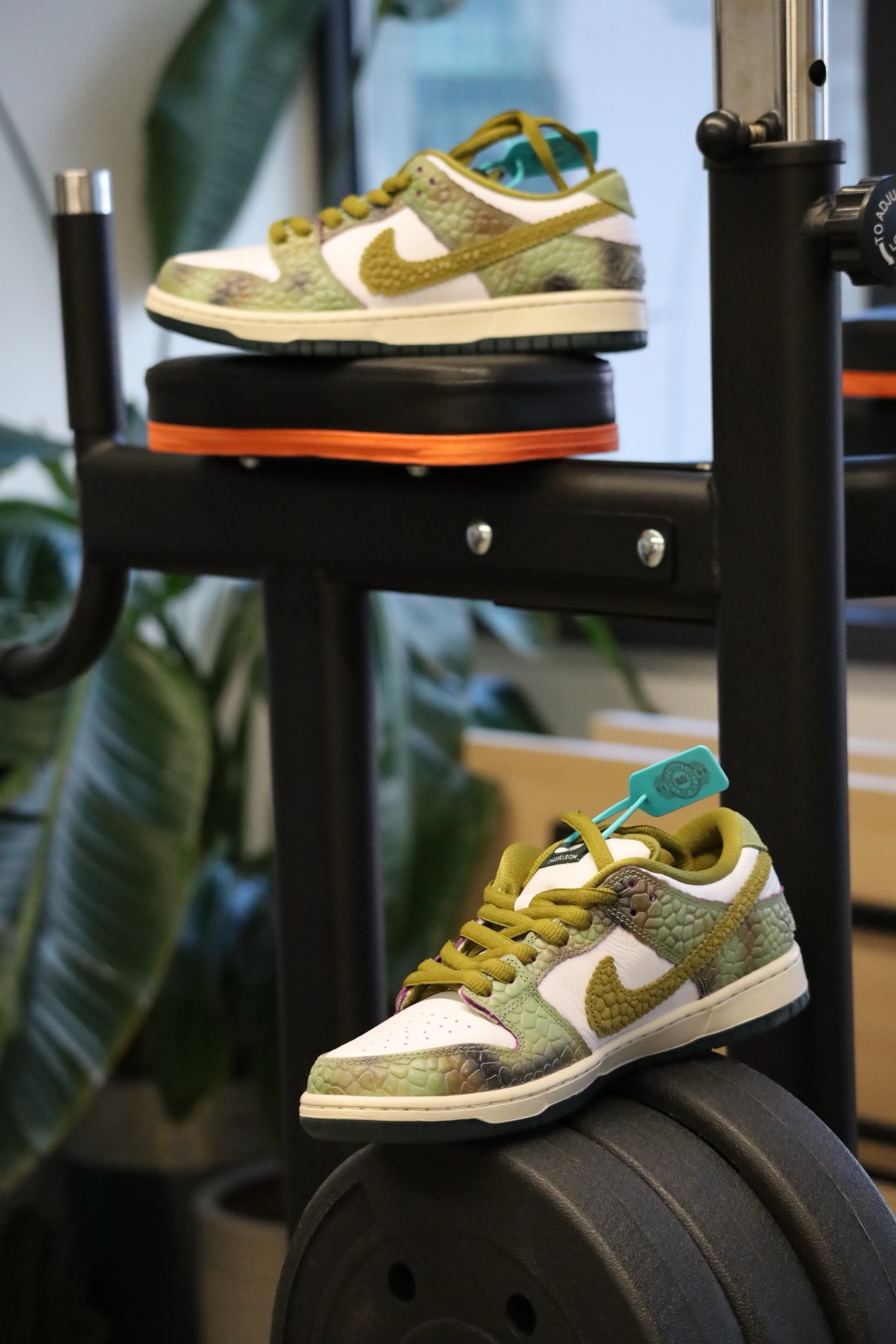 custom review-Alexis Sablone x Nike Dunk SB Low Устойчивые к истиранию Дышащие Низкие Кроссовки для скейтбординга Унисекс Коричневый