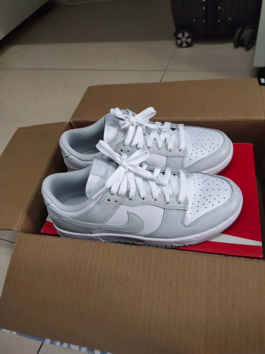 custom review-Nike Dunk Low 'Photon Dust' Women's