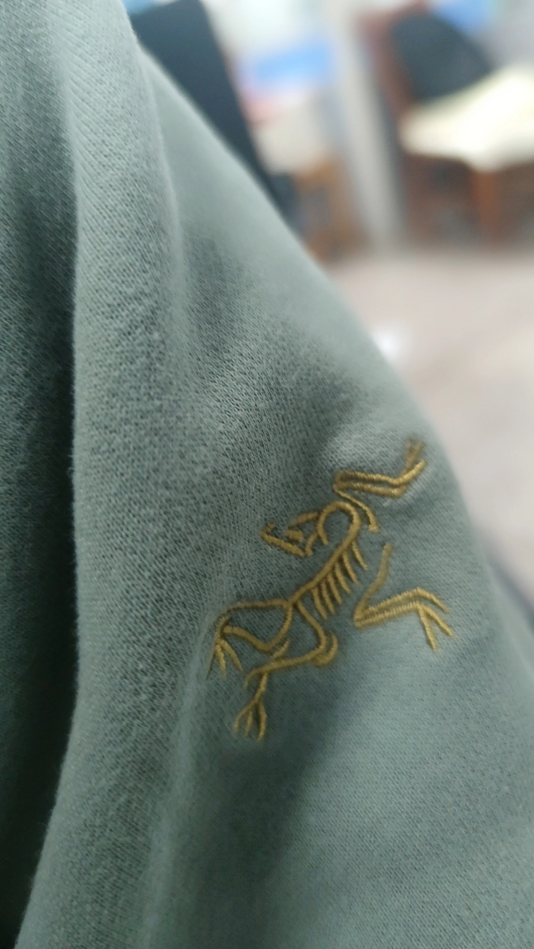 custom review-Arcteryx Emblem Толстовка Мужская