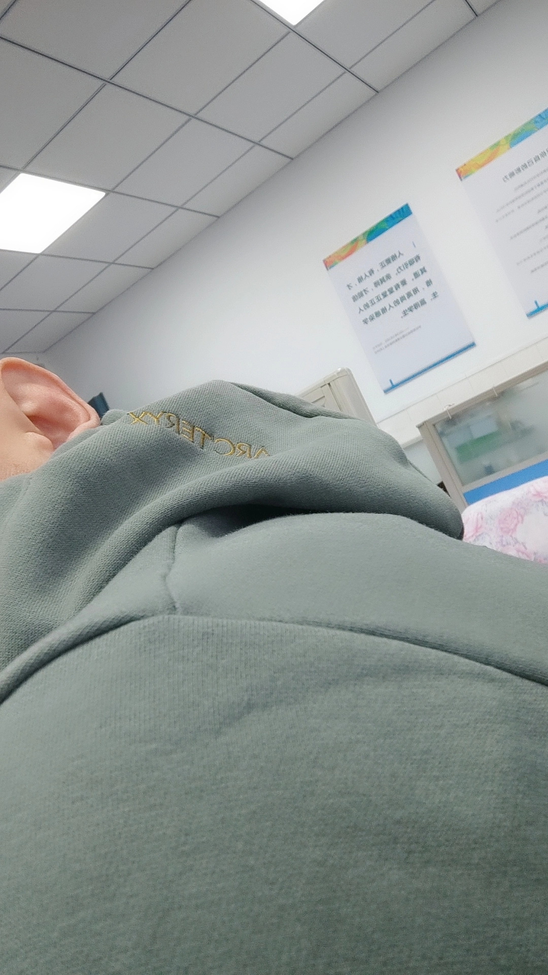 custom review-Arcteryx Emblem Толстовка Мужская