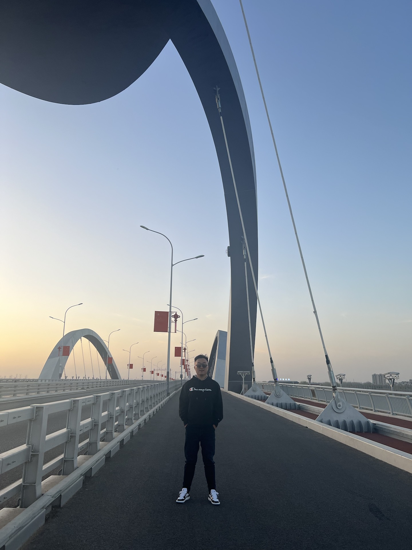 custom review-Jordan Air Jordan 1 Low 'Concord' Low Топ Винтажные баскетбольные кроссовки Мужской Белый черный