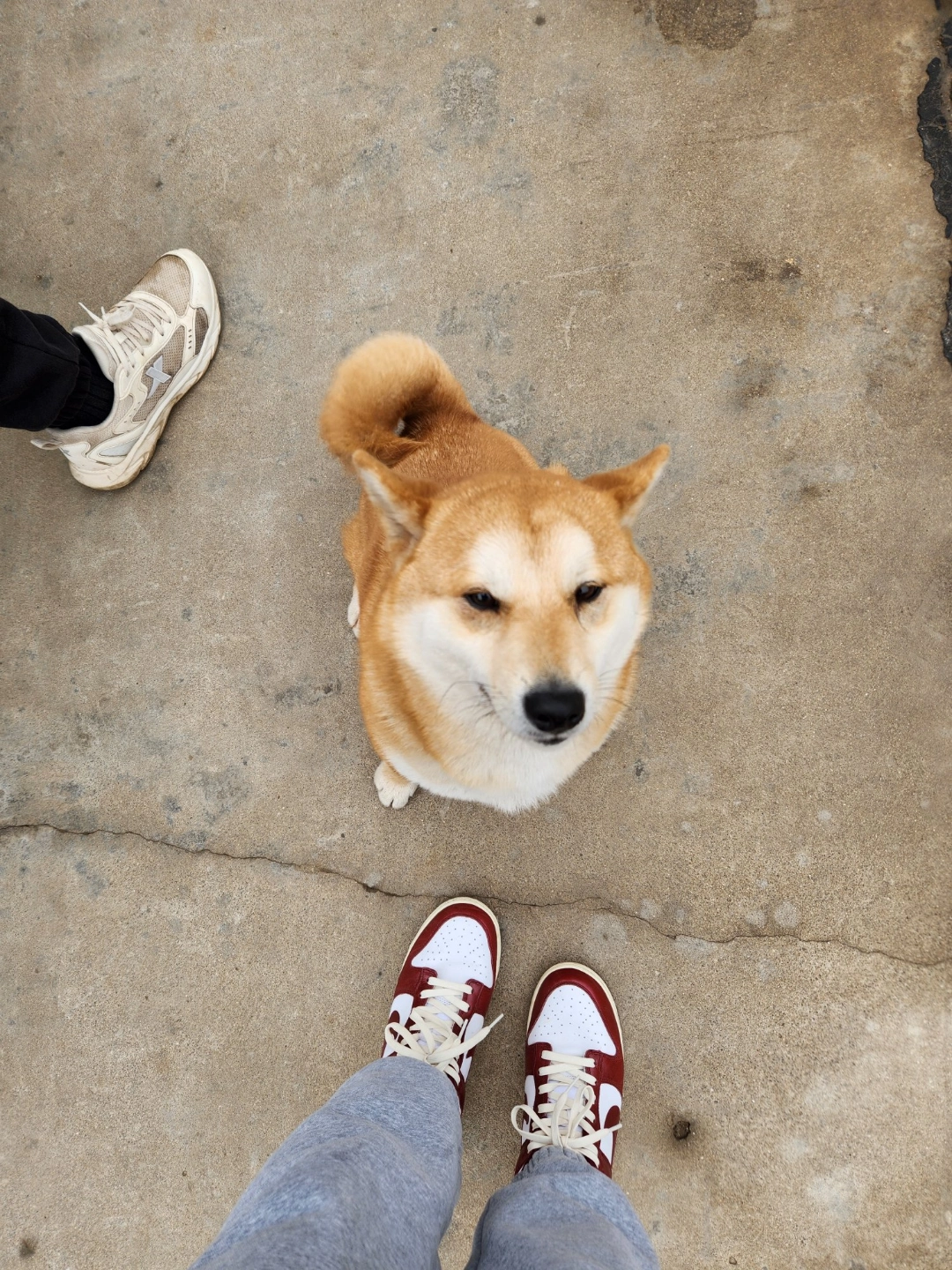 custom review-Nike Dunk Low Топ Скейтборд Кроссовки Женские Красный Белый