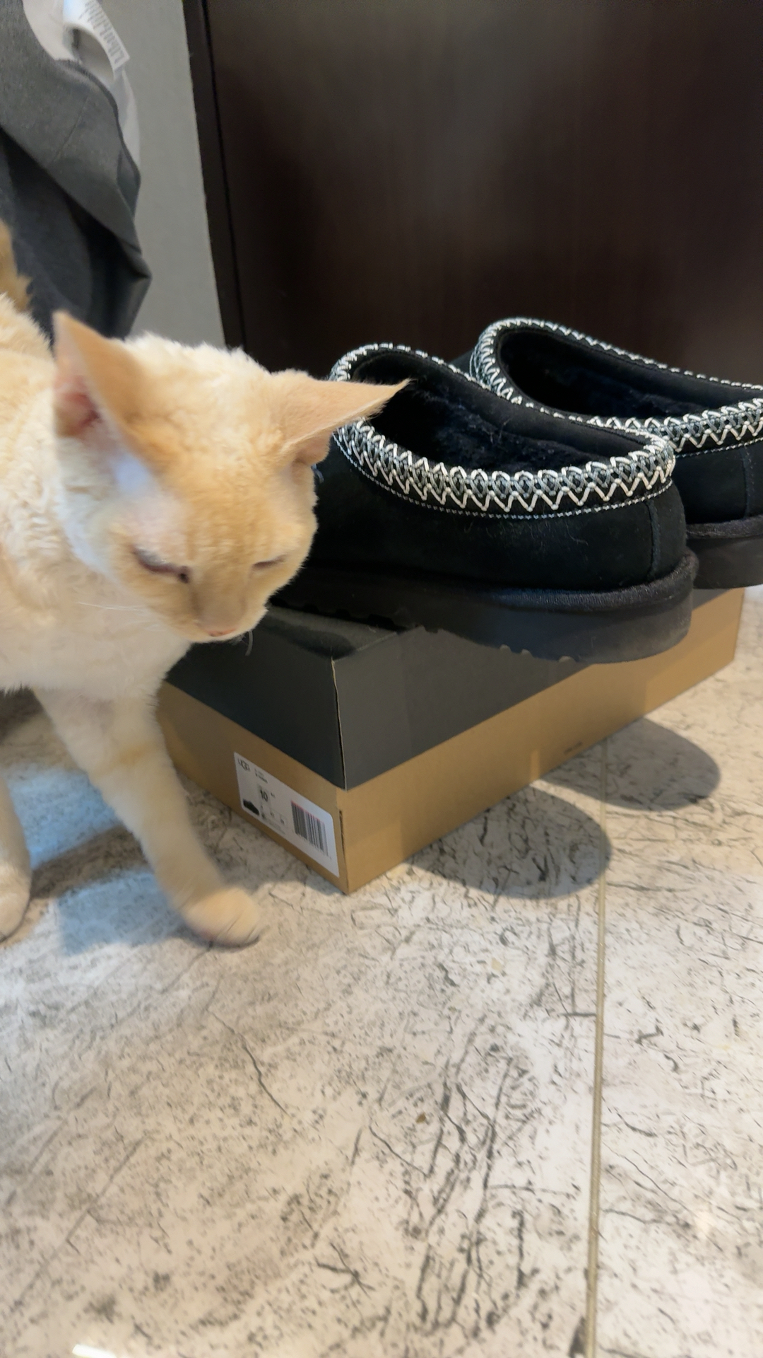 custom review-Wellingtons UGG W Drizlita 1125731 Btbol