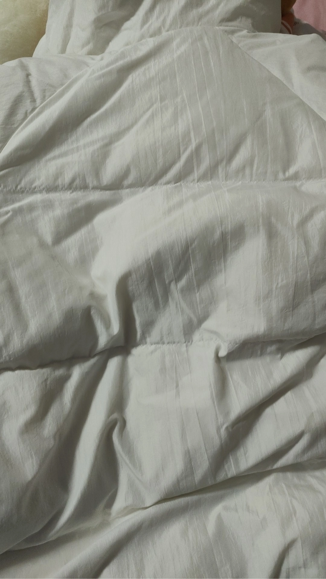 custom review-Adidas Пуховик Зимний Женский Белый