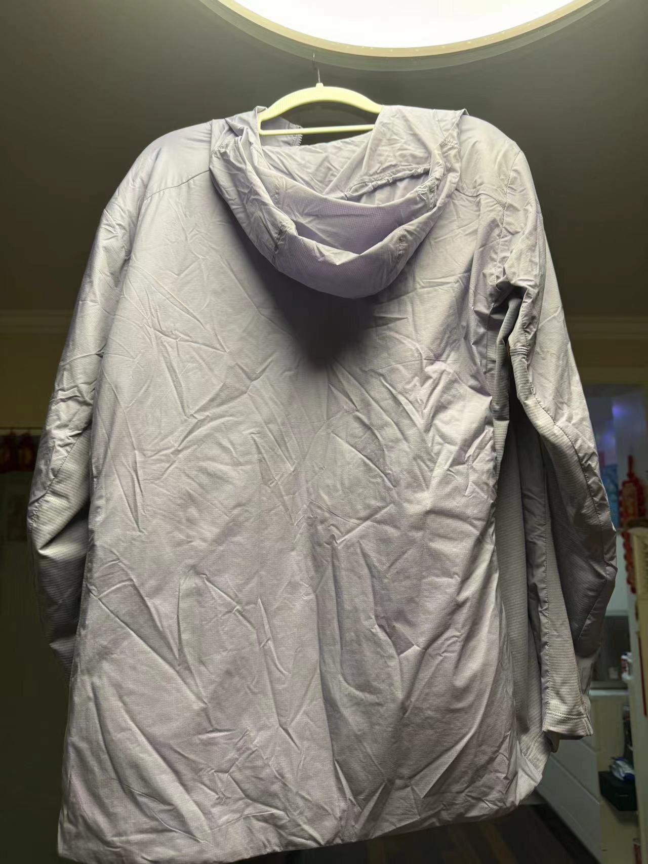 custom review-Arcteryx ATOM LIGHTWEIGHT HOODY Пуховая куртка Женская