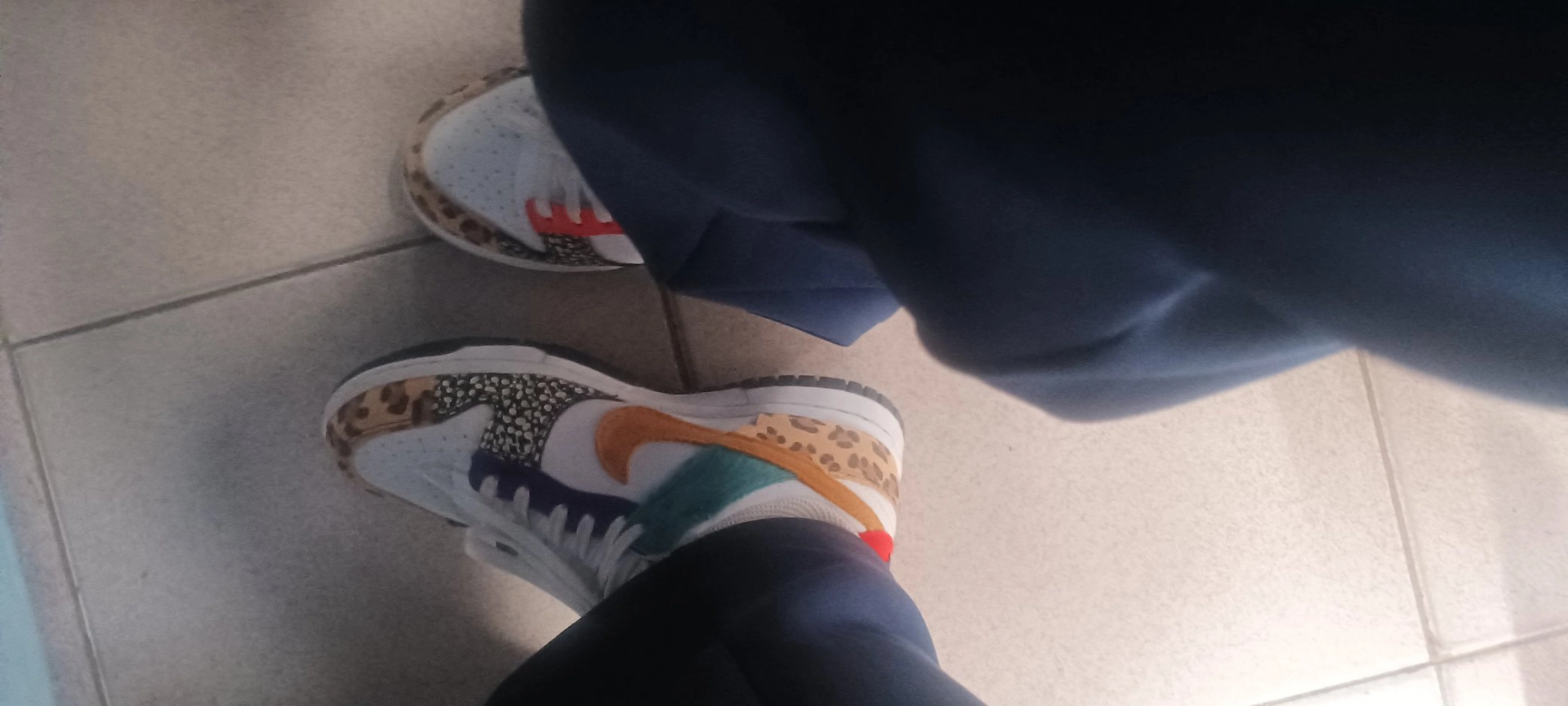 custom review-NIKE Dunk SE 'Пэчворк' Низкие Кроссовки для скейтбординга Женские Многоцветные