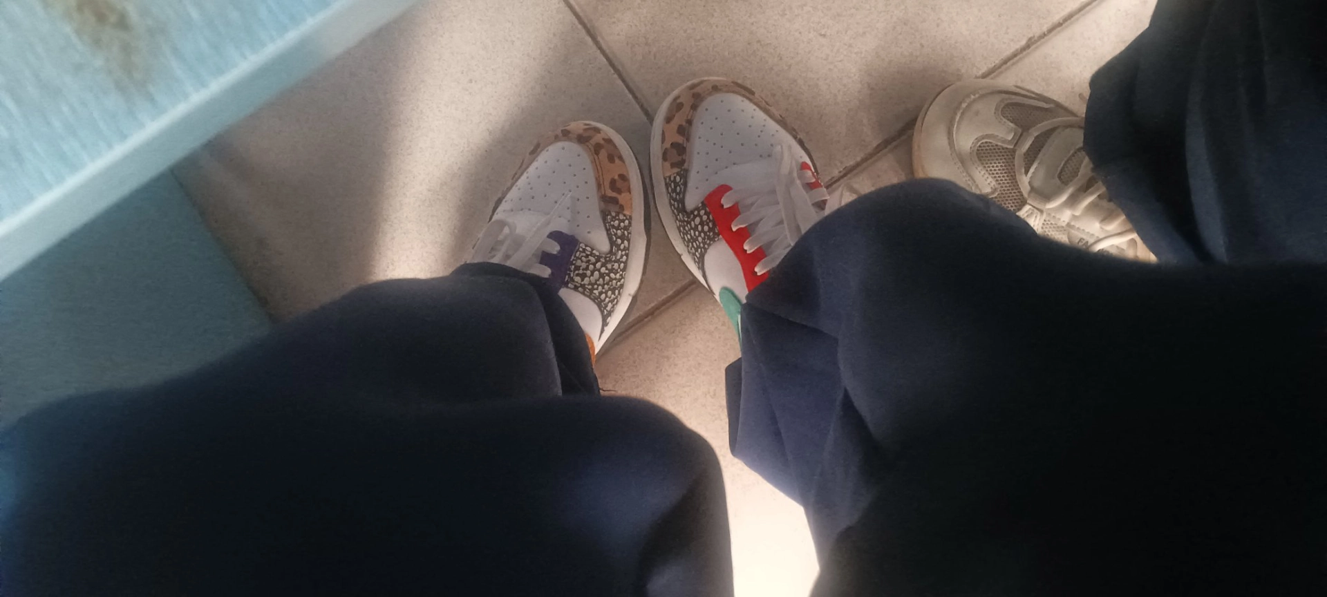 custom review-NIKE Dunk SE 'Пэчворк' Низкие Кроссовки для скейтбординга Женские Многоцветные